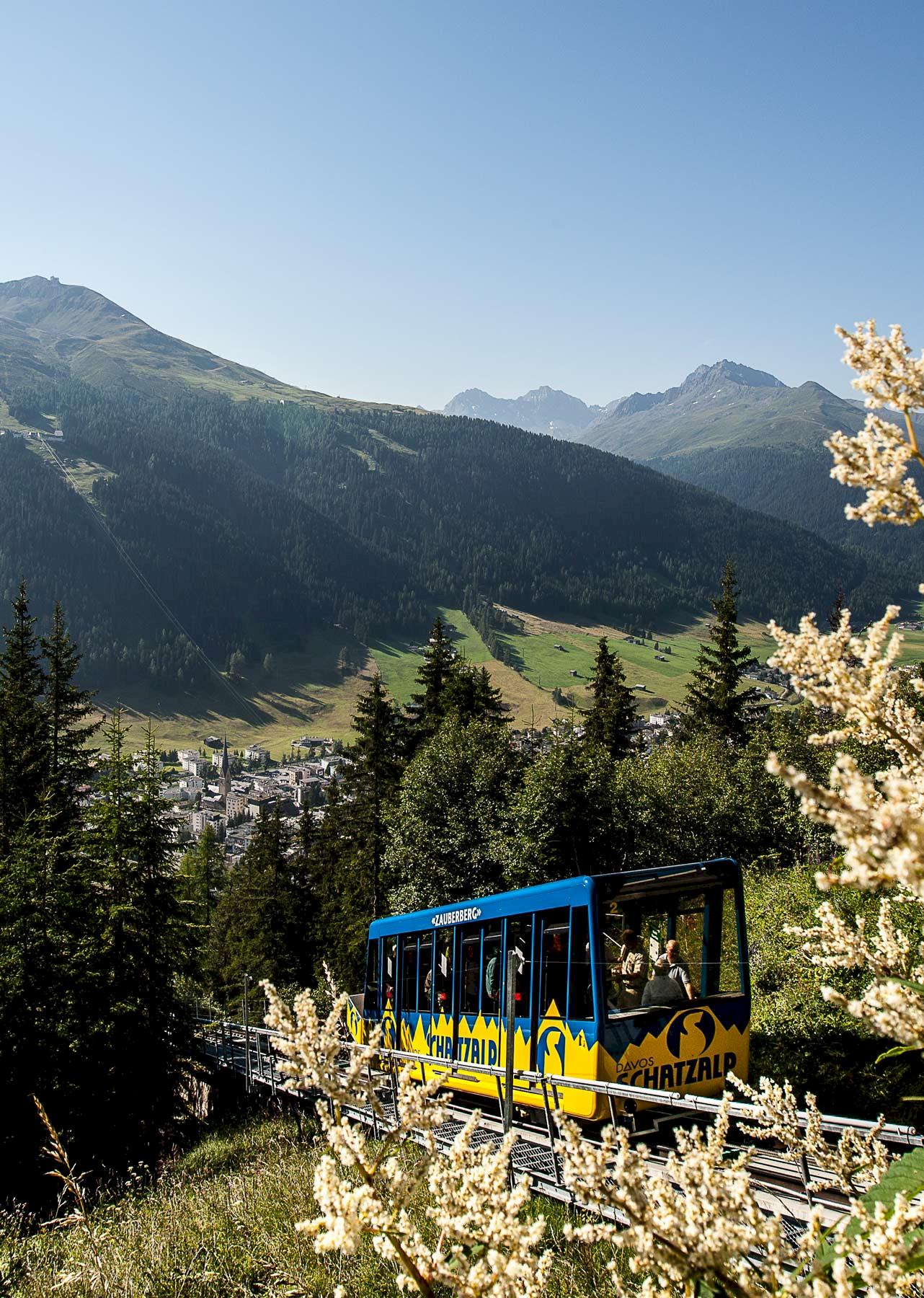 Bergbana omgiven av grönskande natur