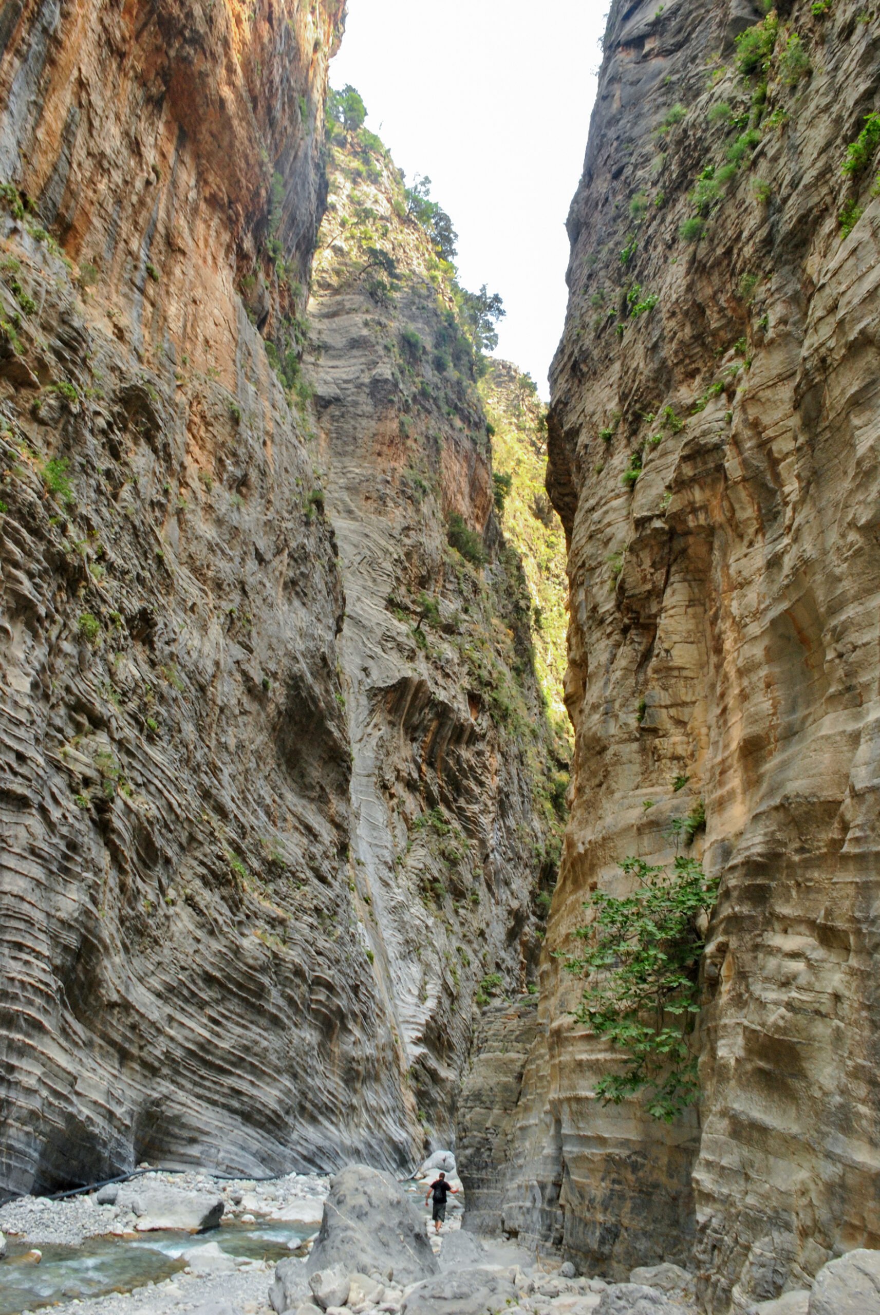 Person vandrar i ravin 