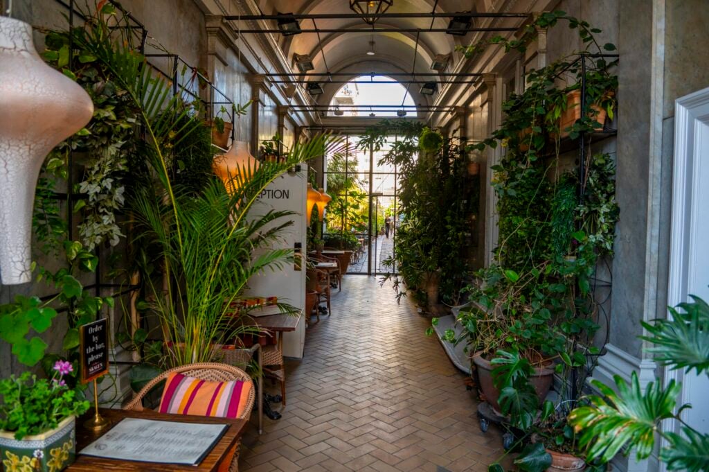 Korridor på hotell med mycket krukväxter