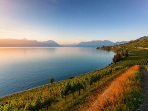En solbelyst sluttning med vinterasser framför en spegelblank enorm sjö med mäktiga pastellfärgade alptoppar i bakgrunden.