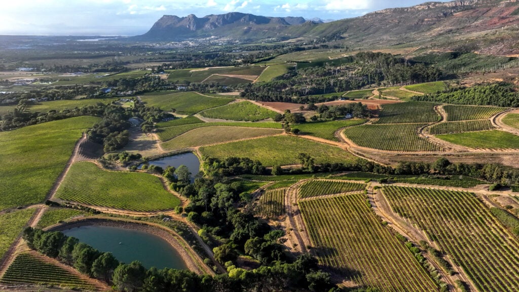 Dramatiska berg bakom ändlösa gröna fält och vinodlingar. 