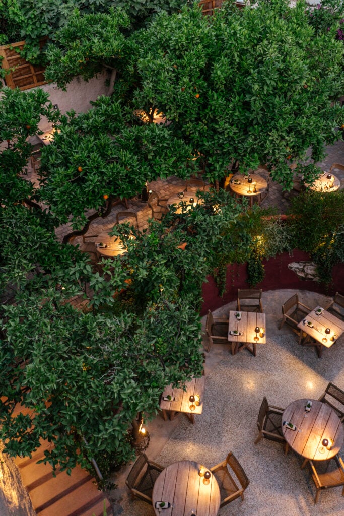 En grönskande servering med grövre träbord och trästolar i rotting.