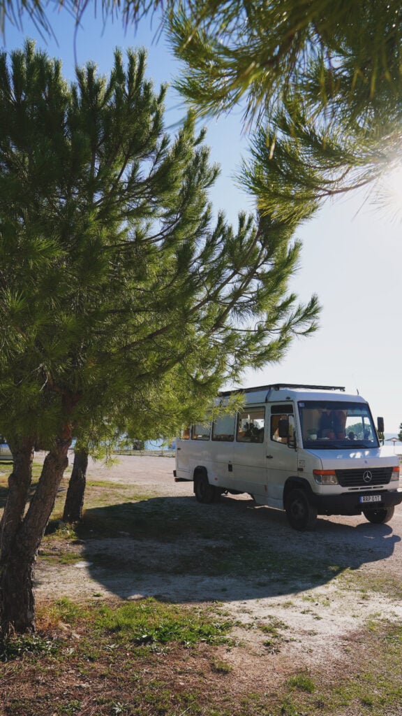 En vit buss står parkerad under tallarna vid havet. 