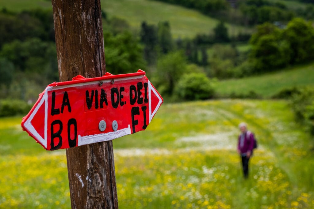 En röd skylt med pilar, lummig grönska, en person med ryggsäck.