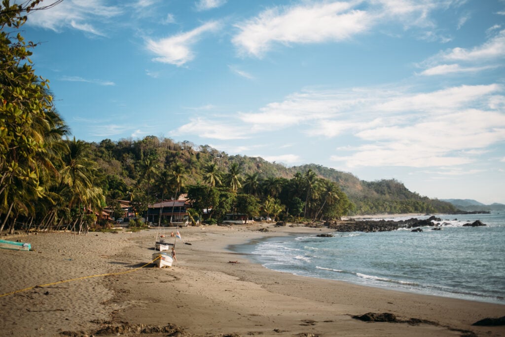 En lummig djungel leder fram till en strand med enkel bebyggelse. 