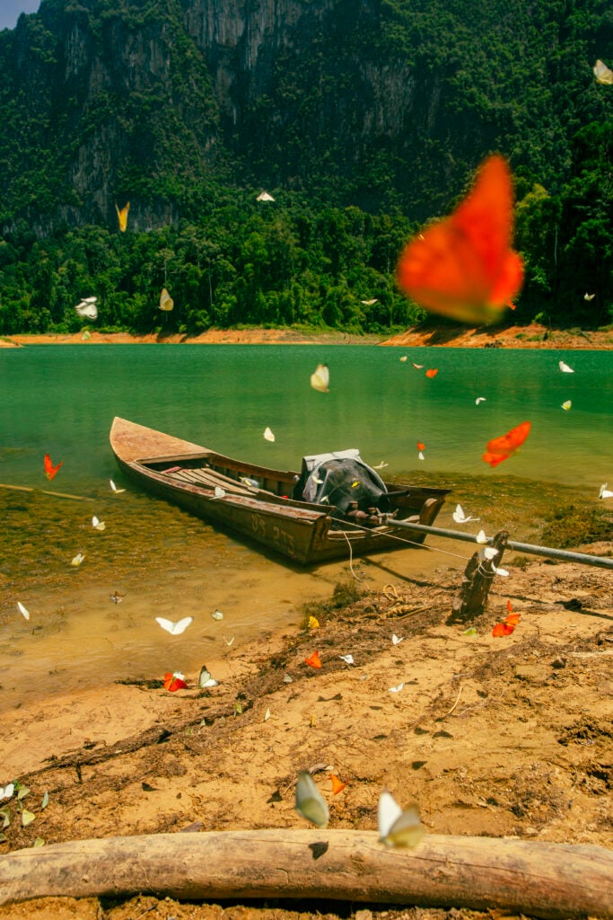 En båt ligger vid stranden, fjärilar flyger i luften. Grön djungel.