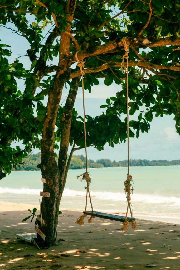 En gunga hänger i ett träd, precis vid vattnet på en strand.