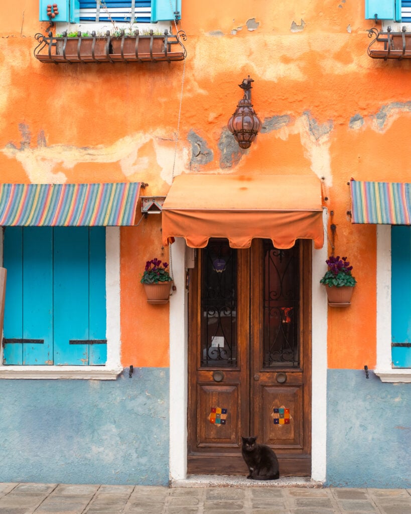 A sleek black cat sits gracefully in front of a brightly colored house.