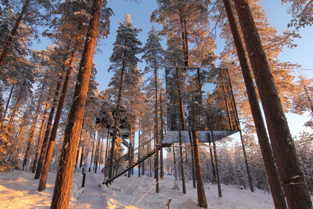 En glaskub speglar snötäckta tallar i solnedgången. 