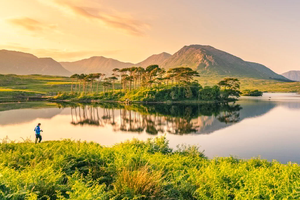 En spegelblank sjö badar i solnedgångsljus, en liten grönskande ö ,ed smala acasialiknande tallar framför höga bergstoppar.