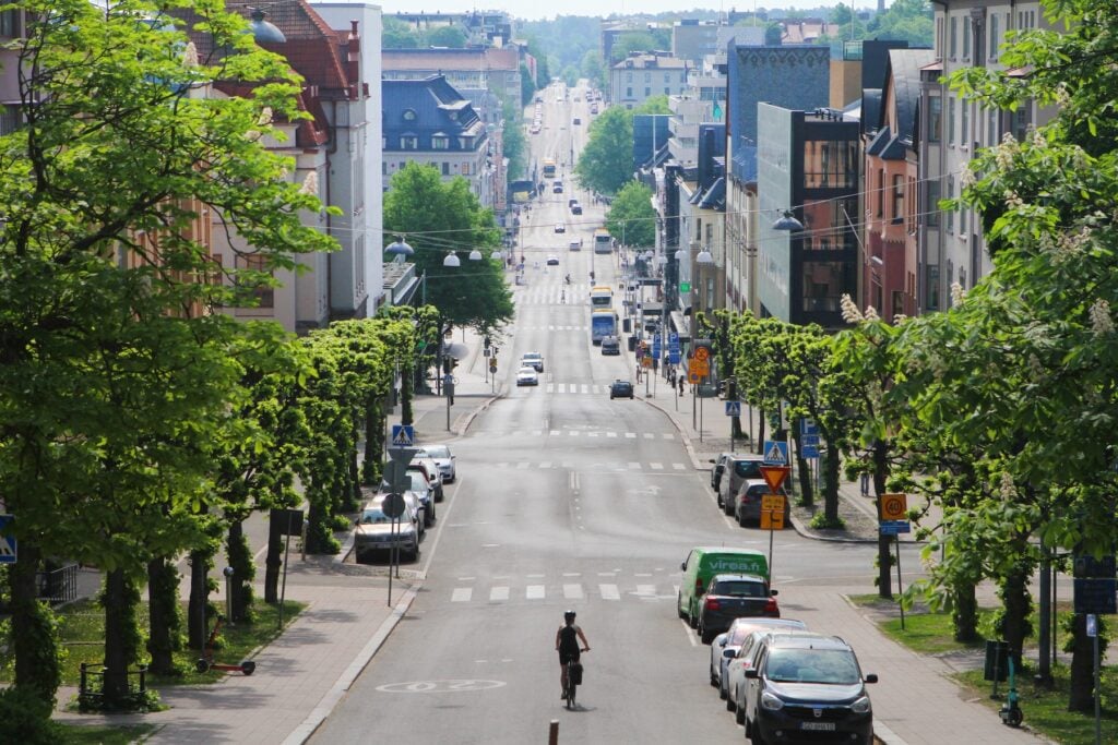 Gata med trädallé i Åbo.