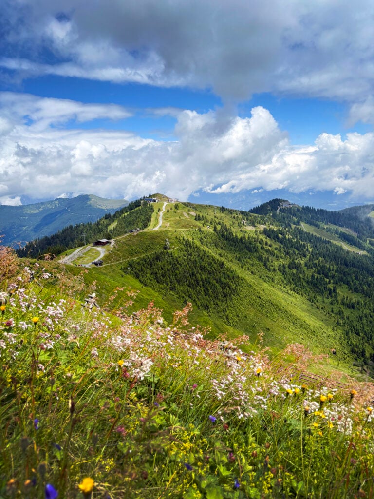 En vacker grön ås sträcker sig genom alplandskapet under en skinande blå himmel. 