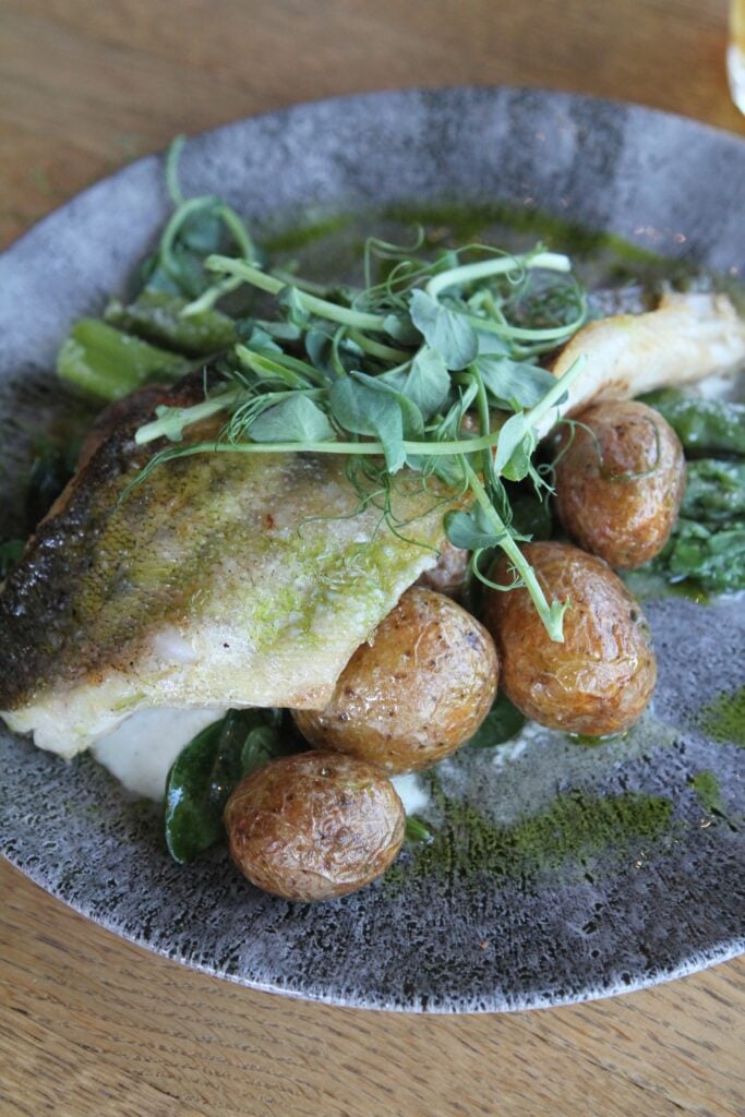 Stekt fisk med kokt potatis och sallad.