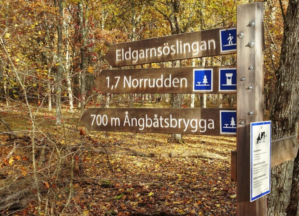 Skyltar som pekar ut vandringsstigar i höstig skog.