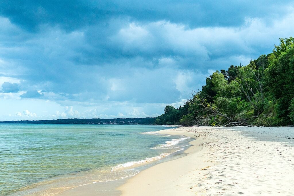 Strand med frodig skog i fonden och blågrönt hav i förgrunden.