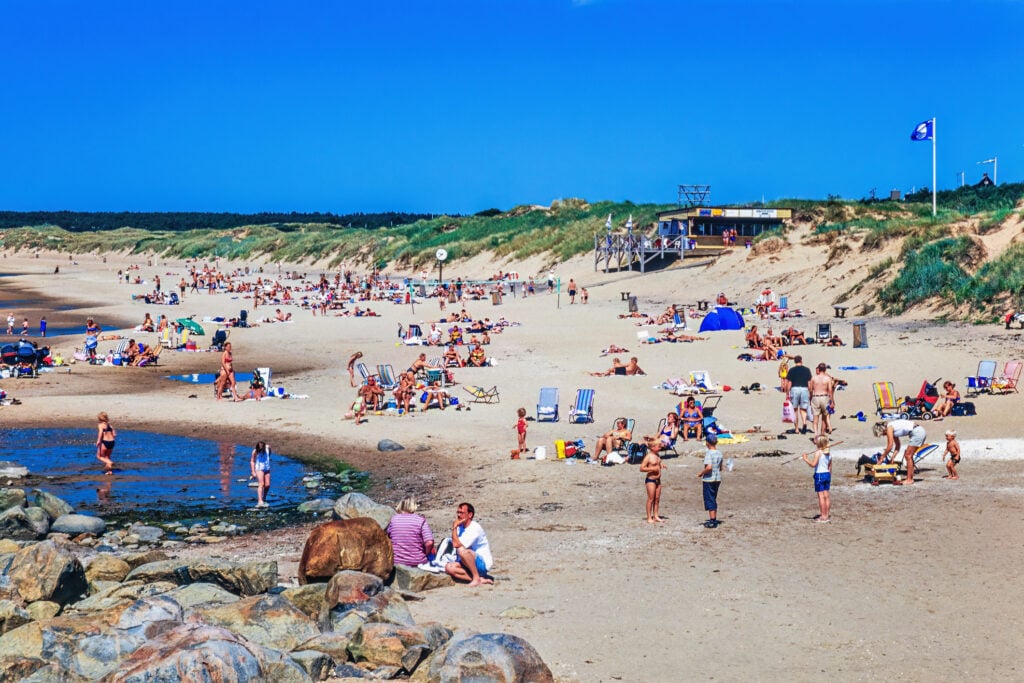 Sandstrand inramad av sanddyner med gräs och på stranden många badgäster.