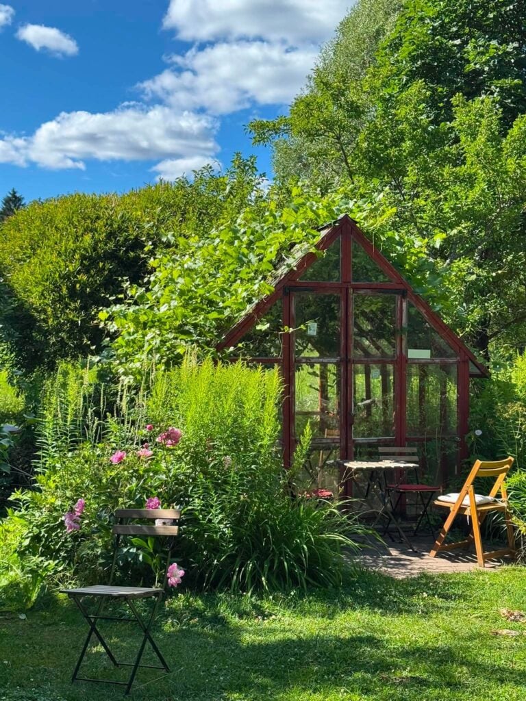Trädgård med uteservering.