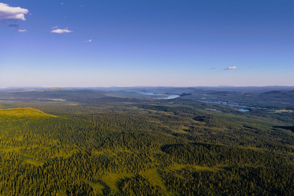 Ett oändligt grönskande fjällandskap med en sjö som syns mellan träden. Blå himmel. Flygvy.